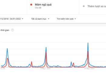 Tết Nguyên đán cận kề, người Việt "search" gì trên Google?